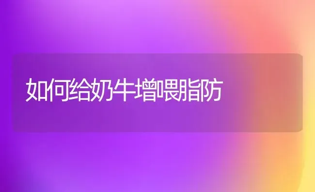 如何给奶牛增喂脂防 | 养殖知识