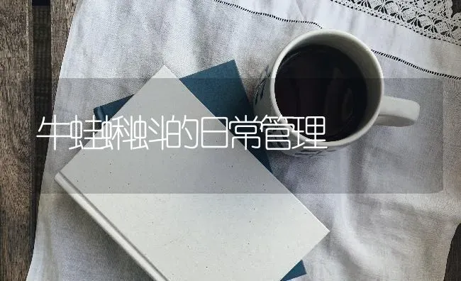 牛蛙蝌蚪的日常管理 | 养殖技术大全
