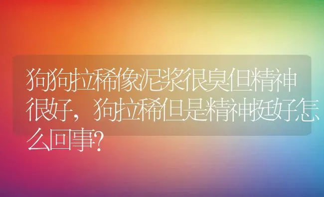 狗狗拉稀像泥浆很臭但精神很好,狗拉稀但是精神挺好怎么回事？ | 养殖学堂