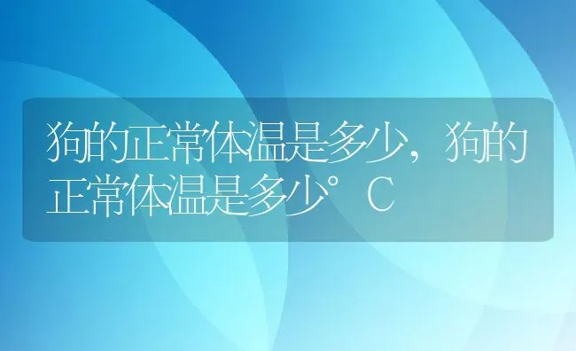 狗的正常体温是多少,狗的正常体温是多少°C | 养殖资料