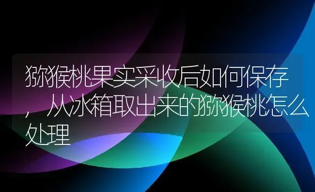 猕猴桃果实采收后如何保存,从冰箱取出来的猕猴桃怎么处理 | 养殖学堂