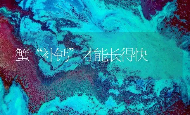 蟹“补钙”才能长得快 | 养殖技术大全