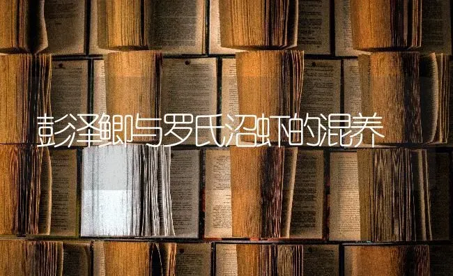 彭泽鲫与罗氏沼虾的混养 | 养殖知识