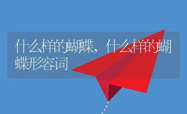 什么样的蝴蝶,什么样的蝴蝶形容词 | 养殖资料