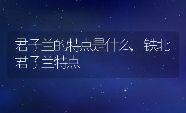 君子兰的特点是什么,铁北君子兰特点 | 养殖学堂