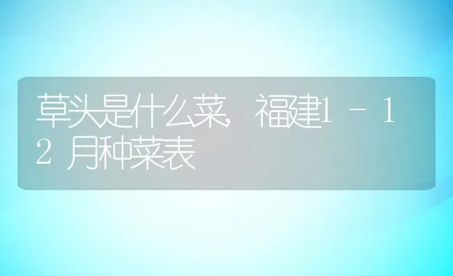 草头是什么菜,福建1-12月种菜表 | 养殖学堂