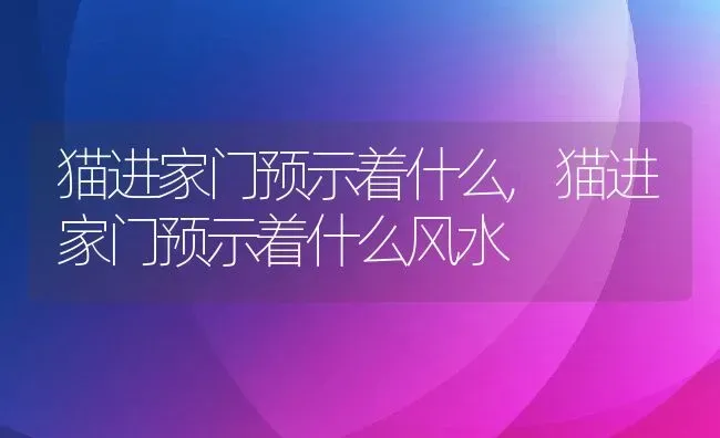 猫进家门预示着什么,猫进家门预示着什么风水 | 养殖资料