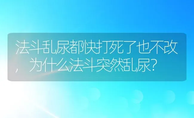 法斗乱尿都快打死了也不改,为什么法斗突然乱尿？ | 养殖学堂