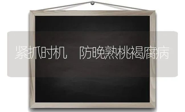 紧抓时机 防晚熟桃褐腐病 | 养殖技术大全