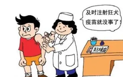 被狗抓咬伤后应尽早打狂犬疫苗 | 实用知识