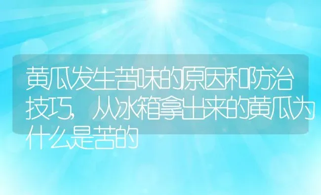 黄瓜发生苦味的原因和防治技巧,从冰箱拿出来的黄瓜为什么是苦的 | 养殖学堂