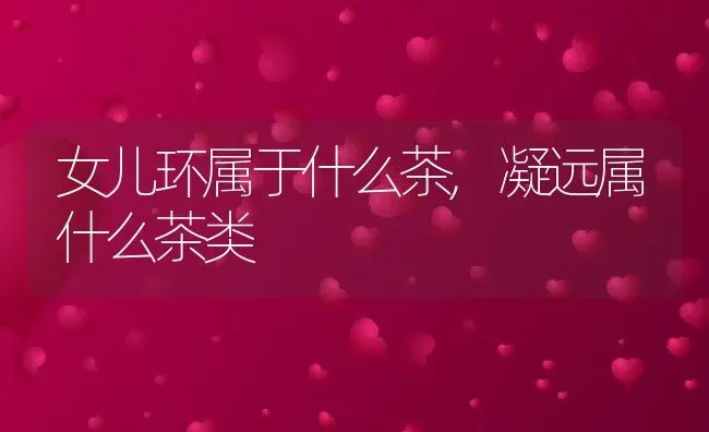 女儿环属于什么茶,凝远属什么茶类 | 养殖学堂
