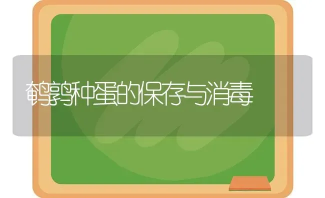 鹌鹑种蛋的保存与消毒 | 养殖知识