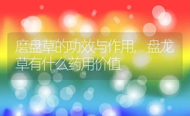 磨盘草的功效与作用,盘龙草有什么药用价值 | 养殖学堂