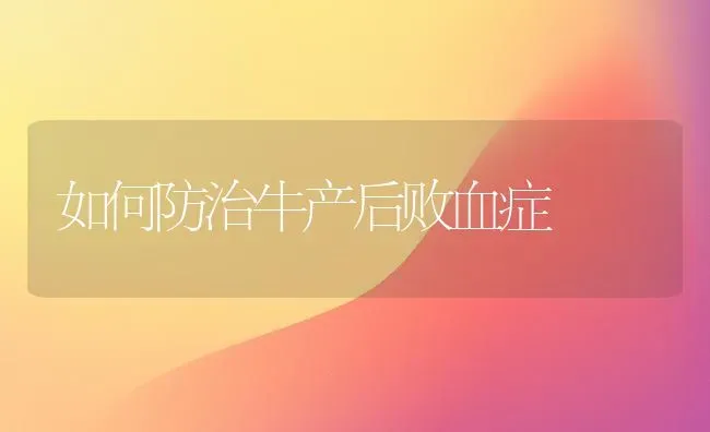 如何防治牛产后败血症 | 养殖知识