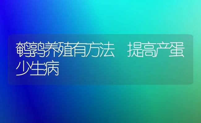 鹌鹑养殖有方法 提高产蛋少生病 | 养殖技术大全