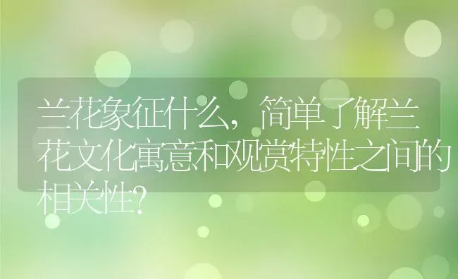 兰花象征什么,简单了解兰花文化寓意和观赏特性之间的相关性？ | 养殖学堂