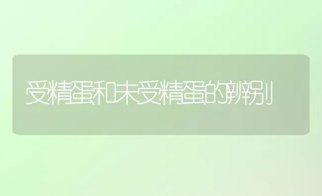 受精蛋和未受精蛋的辨别 | 养殖知识