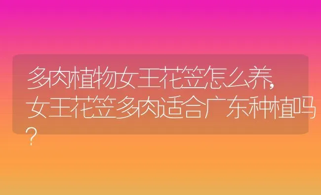 多肉植物女王花笠怎么养,女王花笠多肉适合广东种植吗？ | 养殖科普