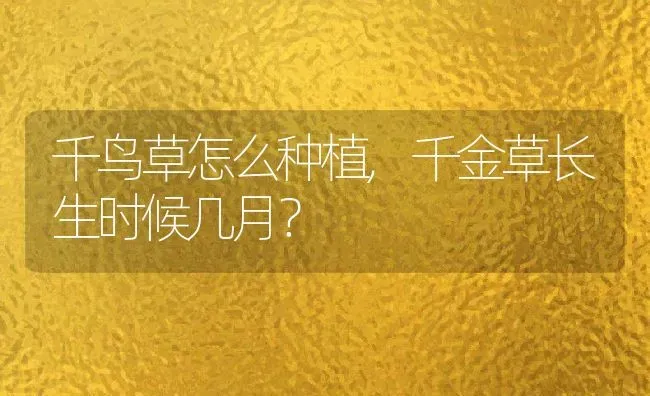 千鸟草怎么种植,千金草长生时候几月？ | 养殖科普