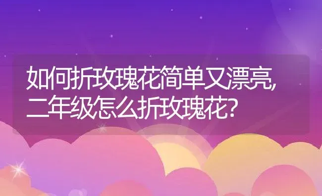 如何折玫瑰花简单又漂亮,二年级怎么折玫瑰花？ | 养殖学堂