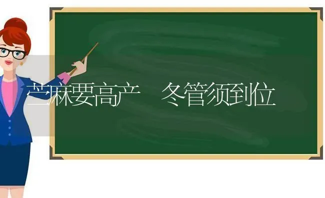 苎麻要高产 冬管须到位 | 养殖知识