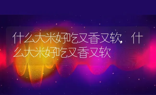 什么大米好吃又香又软,什么大米好吃又香又软 | 养殖学堂