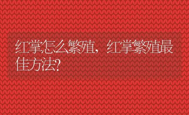 狗能吃柚子吗,狗狗能吃红心柚子吗 | 养殖资料