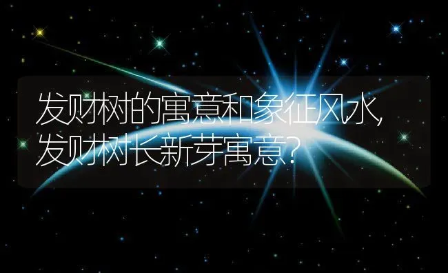 发财树的寓意和象征风水,发财树长新芽寓意？ | 养殖科普