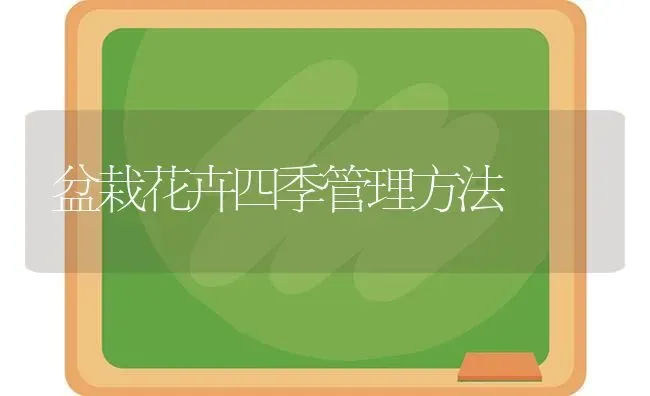 盆栽花卉四季管理方法 | 养殖技术大全