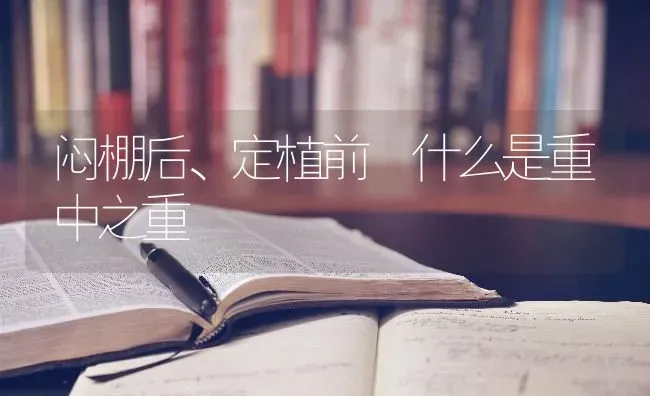 闷棚后、定植前 什么是重中之重 | 养殖技术大全