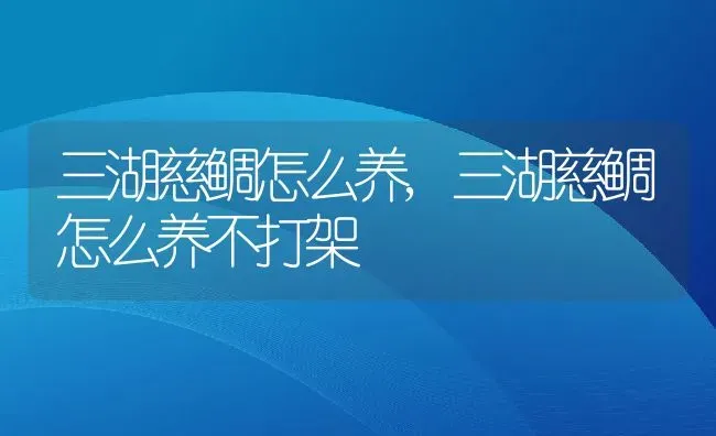 三湖慈鲷怎么养,三湖慈鲷怎么养不打架 | 养殖资料