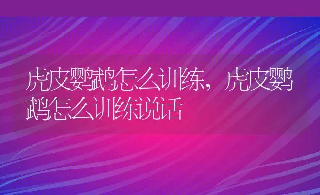 虎皮鹦鹉怎么训练,虎皮鹦鹉怎么训练说话 | 养殖科普