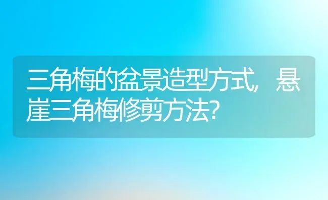 三角梅的盆景造型方式,悬崖三角梅修剪方法？ | 养殖科普