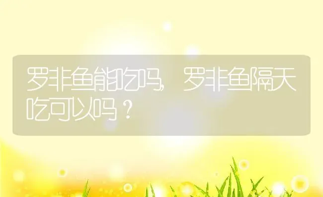 罗非鱼能吃吗,罗非鱼隔天吃可以吗？ | 养殖科普