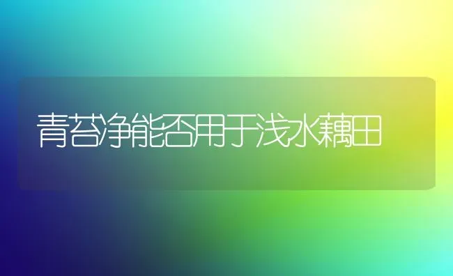 青苔净能否用于浅水藕田 | 养殖知识