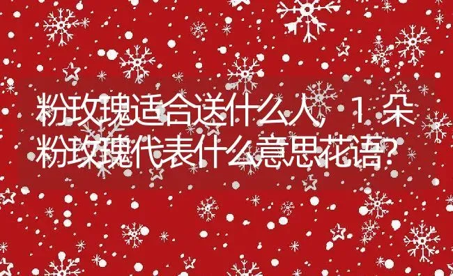 粉玫瑰适合送什么人,1朵粉玫瑰代表什么意思花语？ | 养殖学堂