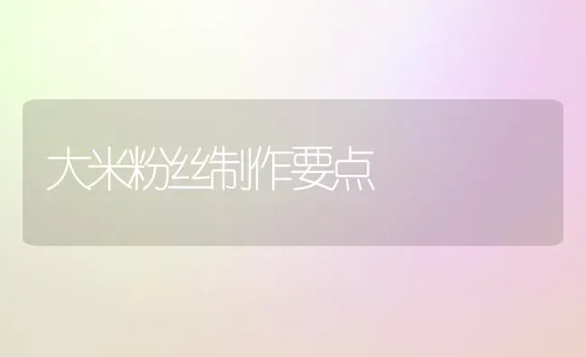 大米粉丝制作要点 | 养殖知识