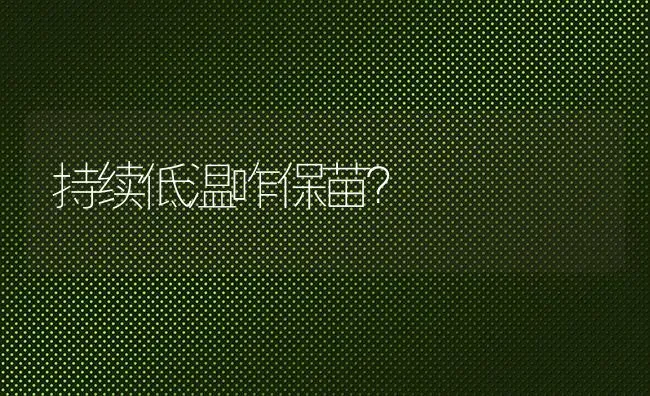 持续低温咋保苗? | 养殖知识