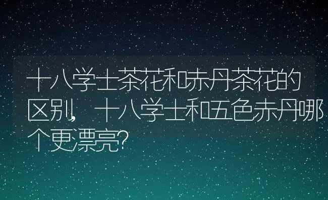 十八学士茶花和赤丹茶花的区别,十八学士和五色赤丹哪个更漂亮？ | 养殖科普