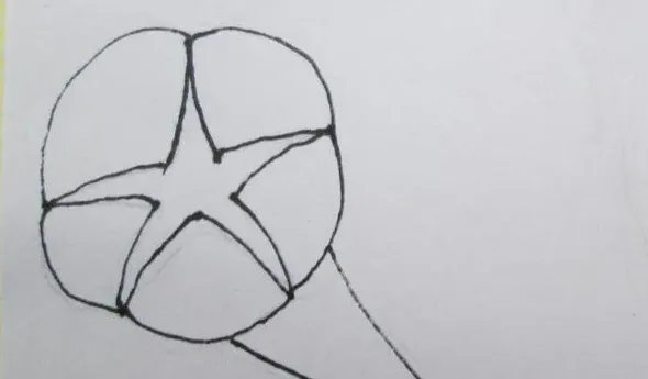 郁金香怎么画简单好看三步,儿童画花朵的几种画法？