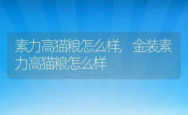素力高猫粮怎么样,金装素力高猫粮怎么样 | 养殖科普