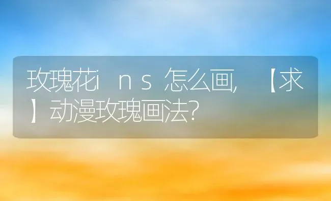 玫瑰花ins怎么画,【求】动漫玫瑰画法？ | 养殖学堂