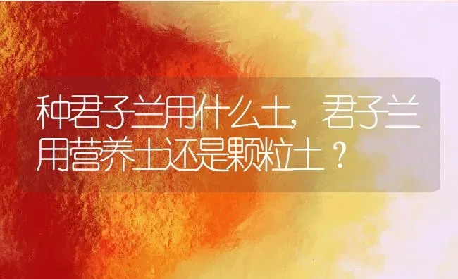 种君子兰用什么土,君子兰用营养土还是颗粒土？ | 养殖学堂