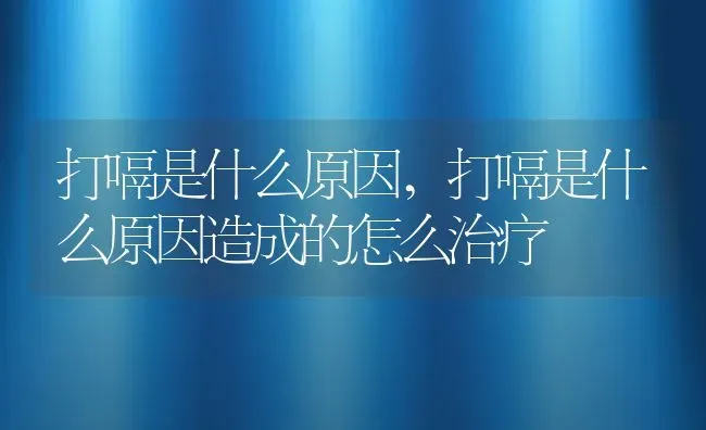 打嗝是什么原因,打嗝是什么原因造成的怎么治疗 | 养殖资料