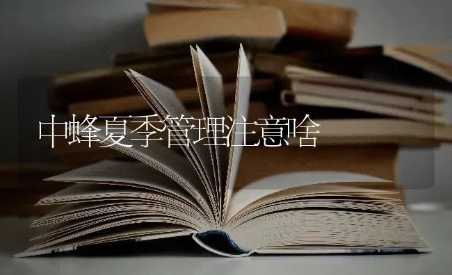 中蜂夏季管理注意啥 | 养殖技术大全