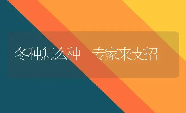 冬种怎么种 专家来支招 | 养殖技术大全