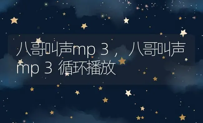 八哥叫声mp3,八哥叫声mp3循环播放 | 养殖科普