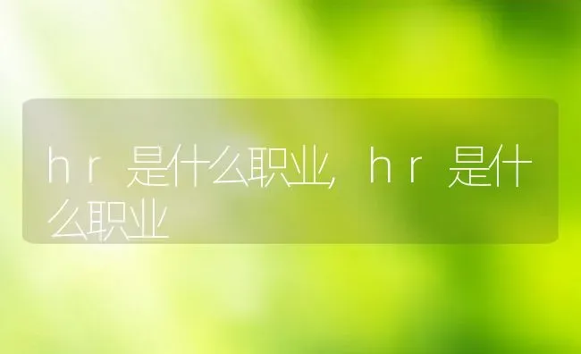 hr是什么职业,hr是什么职业 | 养殖科普