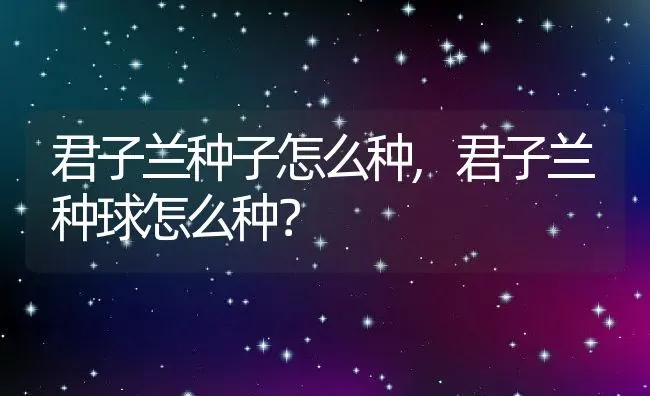 君子兰种子怎么种,君子兰种球怎么种？ | 养殖科普